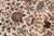 Shabby Chic Beauttiful Floral Nagi Pak-Persian Ivory/Ivory Wool Rug - 9'1'' X 12'2'' For Sale - Image 3 of 9
