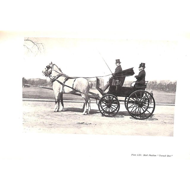"Driving for Pleasure: Or, the Harness Stable and Its Appointments" 1897 Underhill, Francis T. For Sale - Image 4 of 13
