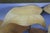 Mid Century Modern Carved Teak Bird of Paradise & Leaf Botanical Arrangement 46" For Sale - Image 6 of 15
