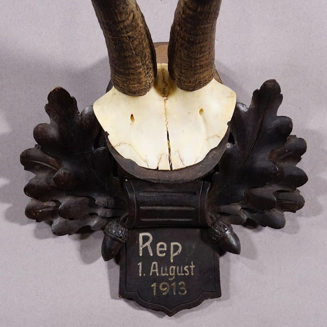 Antique Chamois Trophy on Carved Plaque, Germany 1913 For Sale - Image 4 of 6
