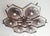 Italian 21st Century Beehive Bronze Smoky Bubbles Murano Flush Mount by Fabio LTD For Sale - Image 3 of 6