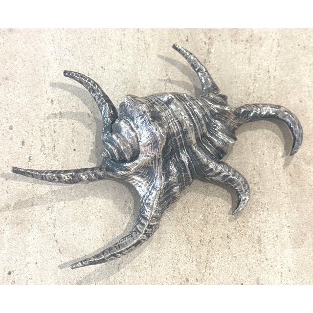 Late 20th Century Ruzzetti and Gow Silvered Large Shell For Sale - Image 5 of 12