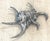 Late 20th Century Ruzzetti and Gow Silvered Large Shell For Sale - Image 5 of 12