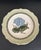 Early 21st Century Sage Green With Flowers “Vintage Garden” Plates- Set of 4 For Sale - Image 11 of 12
