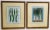 Framed Vegetable Prints - a Pair For Sale - Image 9 of 9