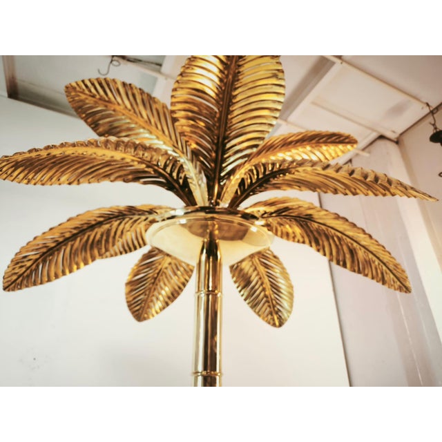 Brass 12-Light Palm Floor Lamp, 1970s, in Very Good conditions. Designed 1970 to 1979 European Plug (up to 250V).The...
