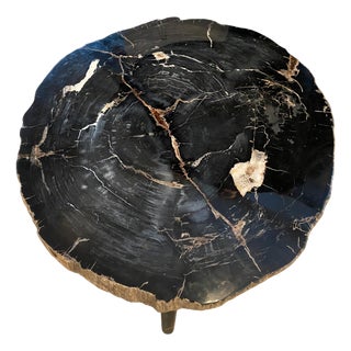 Andrianna Shamaris Impressive Super High Quality Petrified Wood Coffee Table For Sale