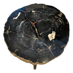 Andrianna Shamaris Impressive Super High Quality Petrified Wood Coffee Table