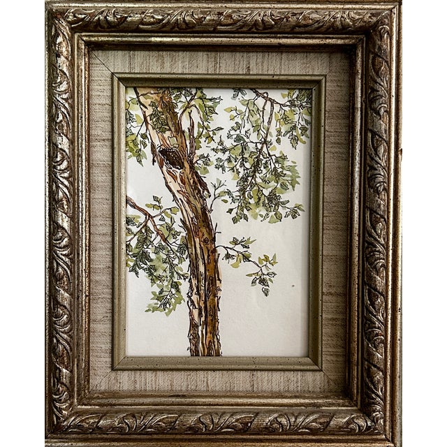 Illustration Original Watercolor Small Painting “Eucalyptus Tree” Framed For Sale - Image 3 of 4