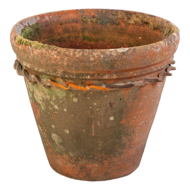 Large Terracotta Pot, England Mid 20th C. For Sale