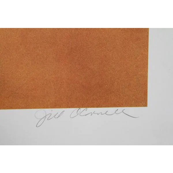 This lithograph, titled "Nautica," was created by Jill O'Connell in 1980. it is edition 500, AP and is both signed and...