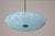 Vintage Italian Floral Glass and Brass Pendant Chandelier, Mid-Century, 2 Lights For Sale - Image 15 of 15