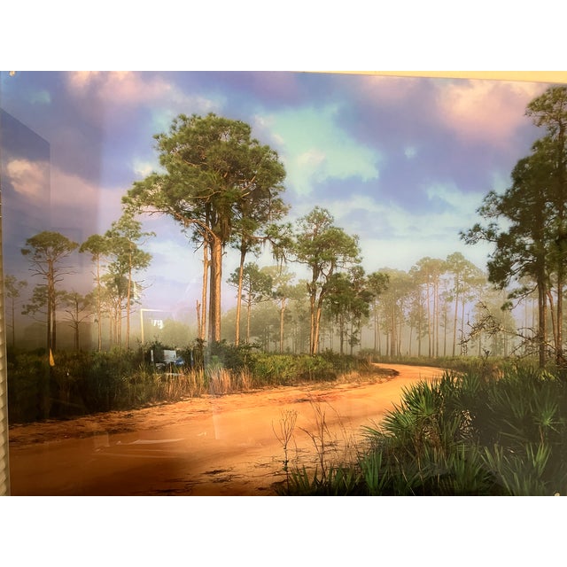 Beautiful photo of Highlands Hammock State Park, Sebring Florida that captures Old Florida as it has been for centuries. I...