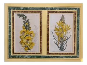 Early 19th Century English Hand Colored Botanical Floral/Flower Etchings by T. Curtis