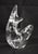 Orrefors Crystal Fish Trout Paperweight Figurine Olle Alberius Sweden Signed For Sale - Image 13 of 18
