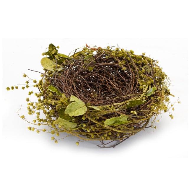 Kenneth Ludwig Chicago Natural Twig Bird Nest with Speckled Egg Accent (Set of 4) For Sale - Image 4 of 4