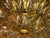 Mid-Century Modern Italian Gilt Brass and Crystal Ceiling Lamp from Stilkronen, 1970s For Sale - Image 3 of 11