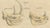Early 19th Century Karl Joseph Brodtmann, Beaver and African & Asian Rhinoceros Skull Studies, 1816, Paper For Sale - Image 5 of 9