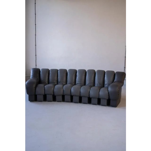 Set of DS-600 Non Stop Sofa by Eleonore Peduzzi Riva for de Sede, 1970s For Sale - Image 4 of 13