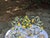Vintage Majolica Topiary For Sale - Image 4 of 6