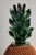 Terra Cotta Sculptural Mexican Clay Pineapple For Sale - Image 8 of 9