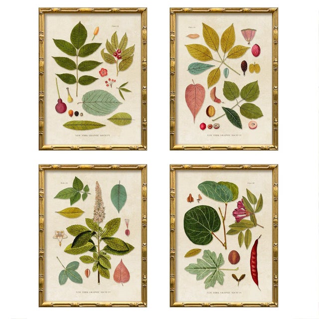 2020s Contemporary Reproduction of Vintage Botanical Leaves (2) Art Print, Framed For Sale - Image 5 of 5
