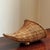 Tan Small Mid-20th Century Cornucopia Basket W/ Footed Base For Sale - Image 8 of 8