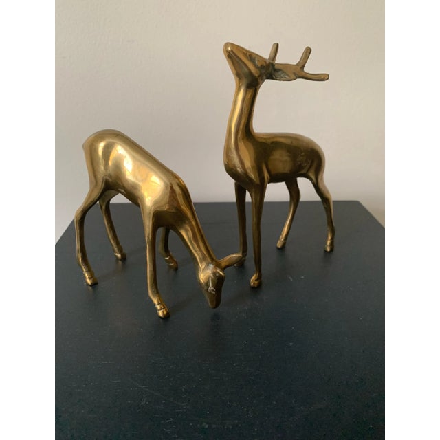 Brass Mid 20th Century Vintage Brass Pair of Deer For Sale - Image 8 of 10