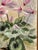 Mid-Century Modern Ada, Still Life with Pink Flowers, 1986, Oil on Canvas, Framed For Sale - Image 3 of 18