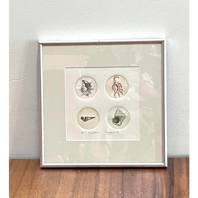 Nautical Nautical Square Drawing “Four Shells” - Artist Signed as J.England For Sale - Image 3 of 4