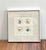 Nautical Nautical Square Drawing “Four Shells” - Artist Signed as J.England For Sale - Image 3 of 4