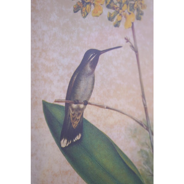 1980s Chelsea House Pair of Flower & Bird Engraving Prints For Sale - Image 11 of 13
