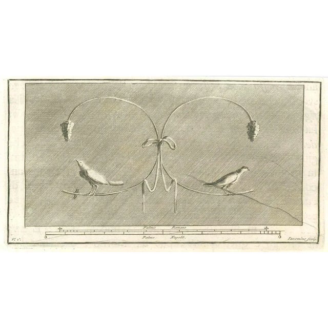 Birds Pompeian Fresco from "Antiquities of Herculaneum" is an etching on paper realized by Marcant Iacomino in the 18th...