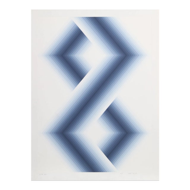 Babe Shapiro, "Zarch Iii", Op Art Screenprint For Sale