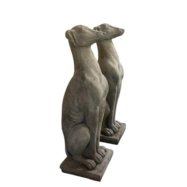 Pair of Neoclassical Style Cast Stone Seated Greyhounds For Sale - Image 4 of 6