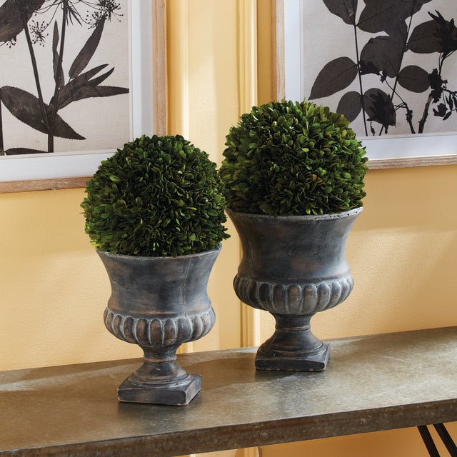 Real English boxwoods, preserved and painstakingly assembled by our masterful artists. Artfully arranged and preserved to...