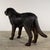 Bronze Large Bronze Mastiff (St. Bernard) Dog Sculpture – 48” Guardian Estate Statue For Sale - Image 8 of 10