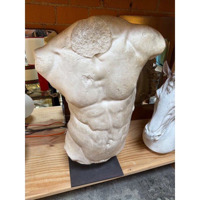 Gaddi's Torso, Plaster Bust, Copy in Scale 1/1 For Sale In Los Angeles - Image 6 of 9