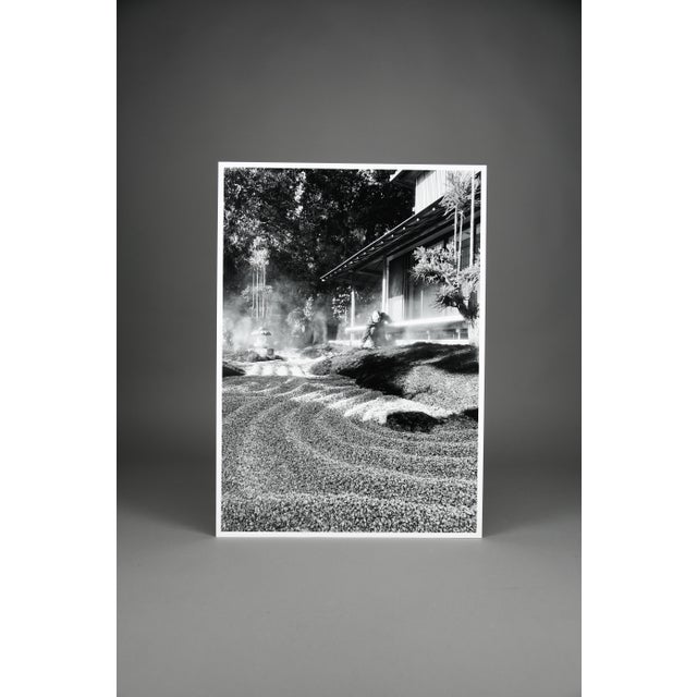 Taco, Monochrome Hase-Dera Temple, Kamakura, Kanagawa, 2024, Archival Pigment Print For Sale - Image 9 of 10