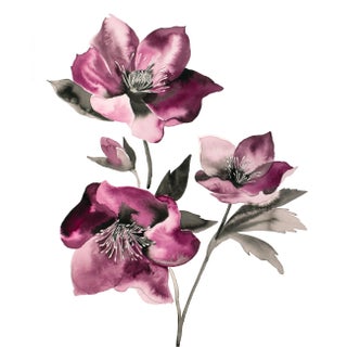 "Hellebore No. 37" Contemporary Original Botanical Flower Watercolor Painting by Elizabeth Becker For Sale
