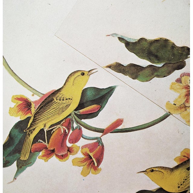 John James Audubon 1966 Rathbone Warbler After John J. Audubon, Cottage Print For Sale - Image 4 of 9