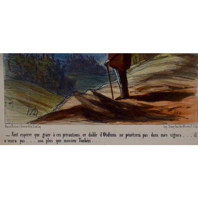 Daumier Colored Lithographic Satire of a Man Concerned for His Vineyard and Wine, 1853 For Sale - Image 4 of 7