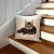 Country Pillow by Pierre D'Argent: The Cat For Sale - Image 4 of 4