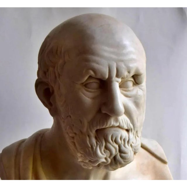 Italian Artist, Hippocrates Bust, Early 20th Century, Carrara Marble For Sale - Image 3 of 7