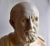 Italian Artist, Hippocrates Bust, Early 20th Century, Carrara Marble For Sale - Image 3 of 7