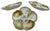 Gold Antique French Limoges Porcelain Oyster 22k Gold & Ferns Decorated Plates Set of 7 For Sale - Image 8 of 18