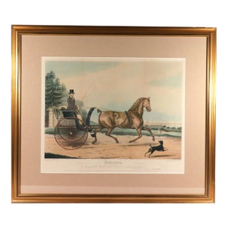 Large Aquatint of the Celebrated Trotting Stallion Artaxerxes After Francis Calcraft Turner For Sale