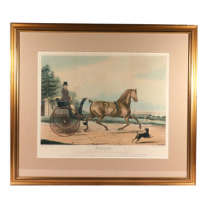 Large Aquatint of the Celebrated Trotting Stallion Artaxerxes After Francis Calcraft Turner