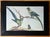 Green Late 20th Century Framed Print of Parrot Pair With Butterfly by Sarah Stone For Sale - Image 8 of 8