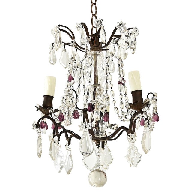 French French 19th Century Petite Crystal Chandelier For Sale - Image 3 of 11